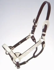 Dark Oil Silver Bar Horse Show Halter with Matching Lead Shank