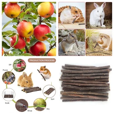Apple & Mixed Berry fruit chew sticks 100% Natural Treat for Rabbits & Small Pet - Image 1 of 4