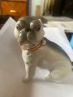 Pug Dog 19th century from Germany — photo 6