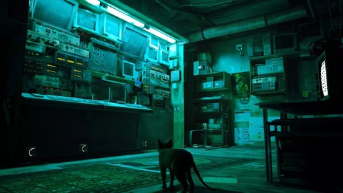 Stray Nintendo Switch Shipping from Japan - 第 5/6 張圖片