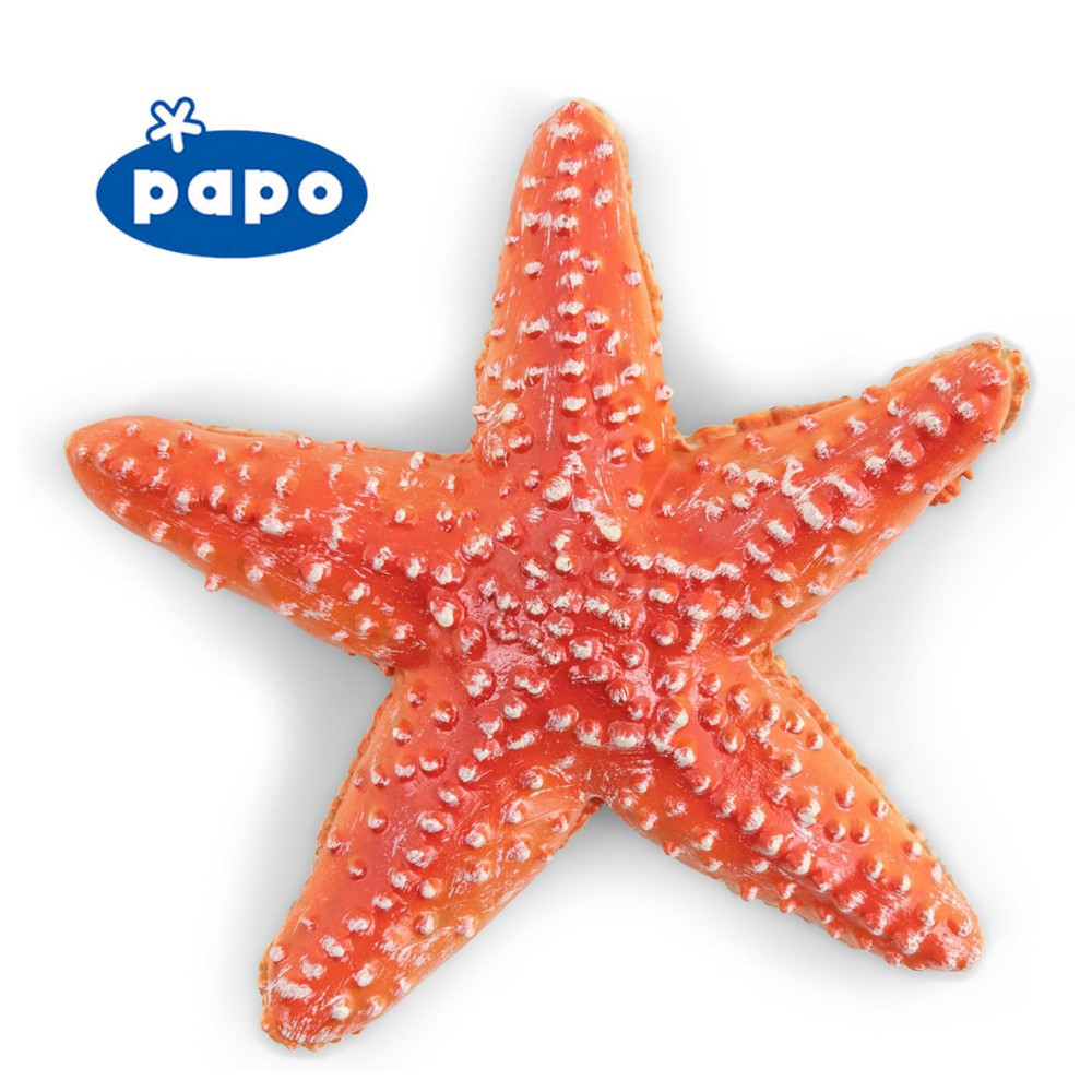 STELLA MARINA ANIMALI DELL'OCEANO DA COLLEZIONE PAPO 56050