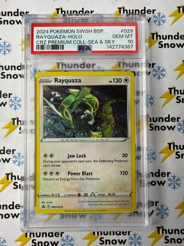 Rayquaza Holo #029 Premium Collection Sea & Sky 2024 Pokemon PSA 10 142774387