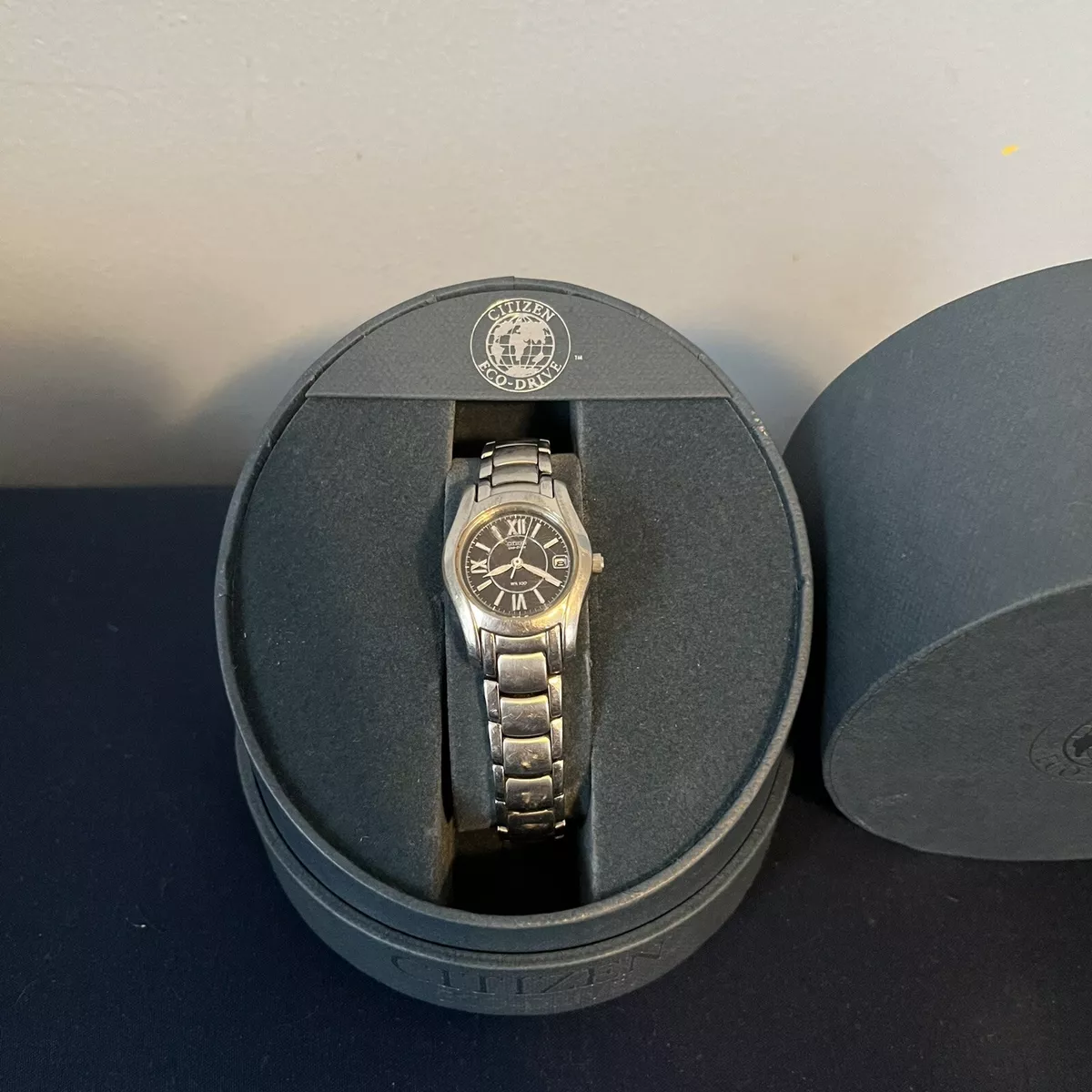 Citizen eco drive wr100 titanium sale