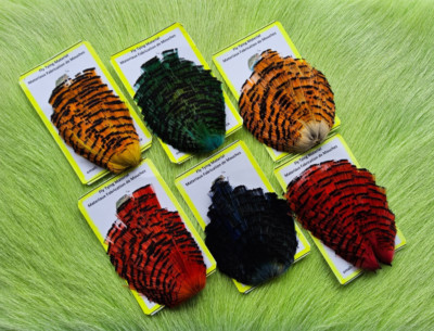 Golden Pheasant Tippets Combo.  Color;  (6) asst. colors . Free Shipping.