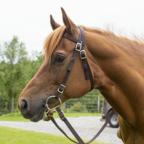 Tahoe Tack Double Layered Nylon Western Headstall with Matching Split Reins - Picture 11 of 16