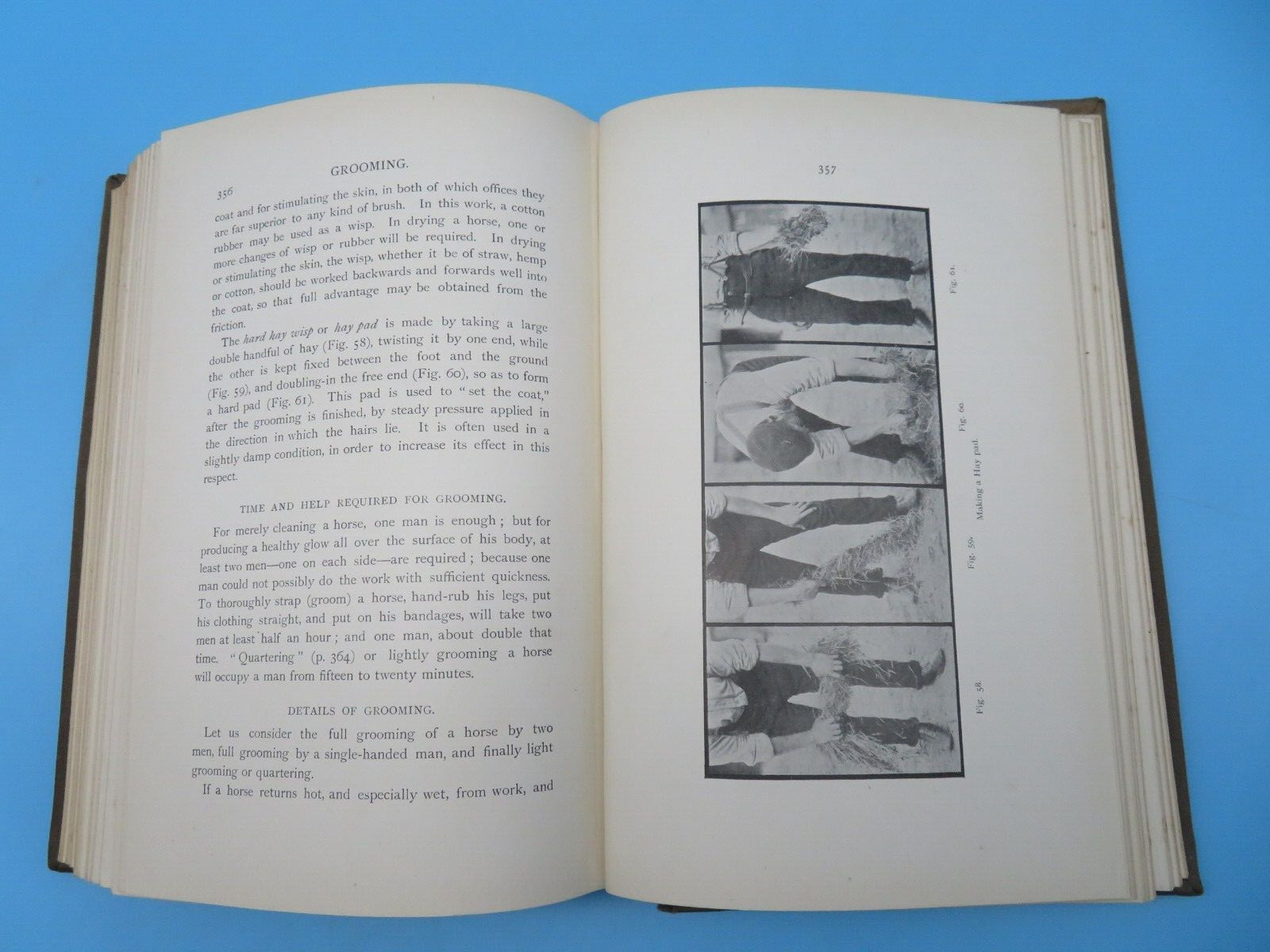 Stable Management And Exercise M Horace Hayes HB 2nd Ed 1909 Hurst And Blackett