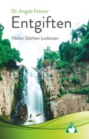 S. J. Garrett | The Shaughnessy File | Taschenbuch | Englisch (2017)