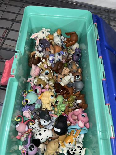HUGE lot Of LITTLEST PET SHOP with Accessories And Carry Case AS IS no Returns