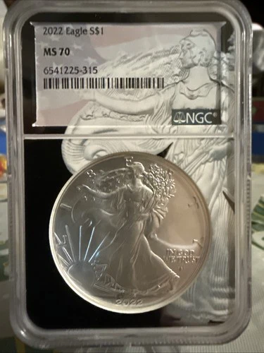 2022 Silver Eagle, NGC MS70, .999 Fine Silver Special Case W/ Lady Liberty