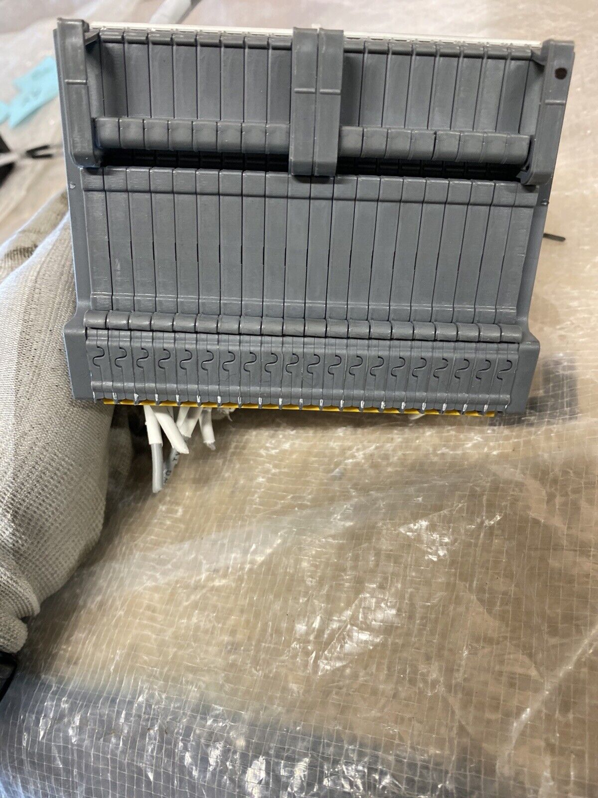 Picture 10 of 11