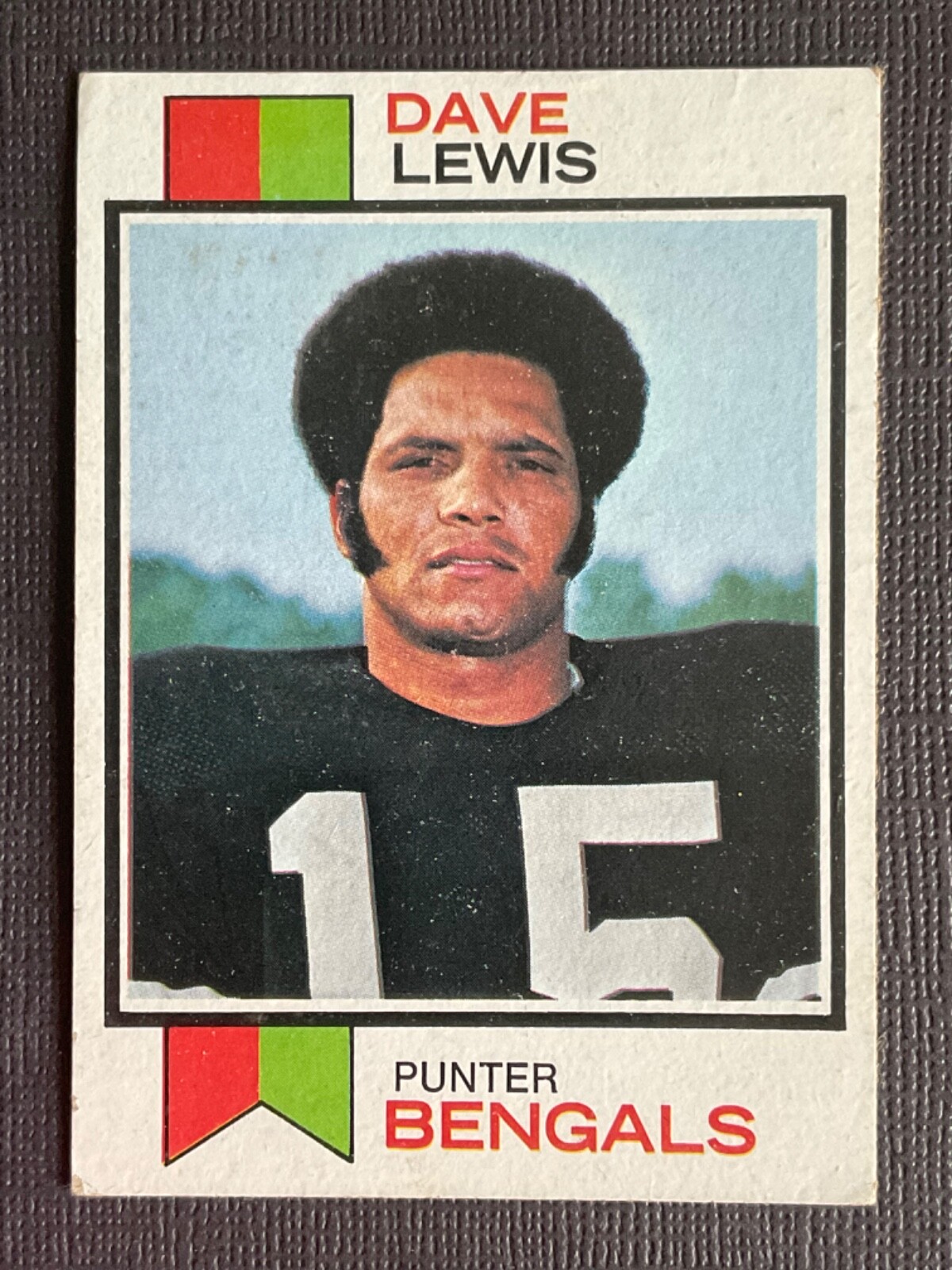 Dave Lewis 1973 Topps Football Card #88 - Cincinnati Bengals Punter