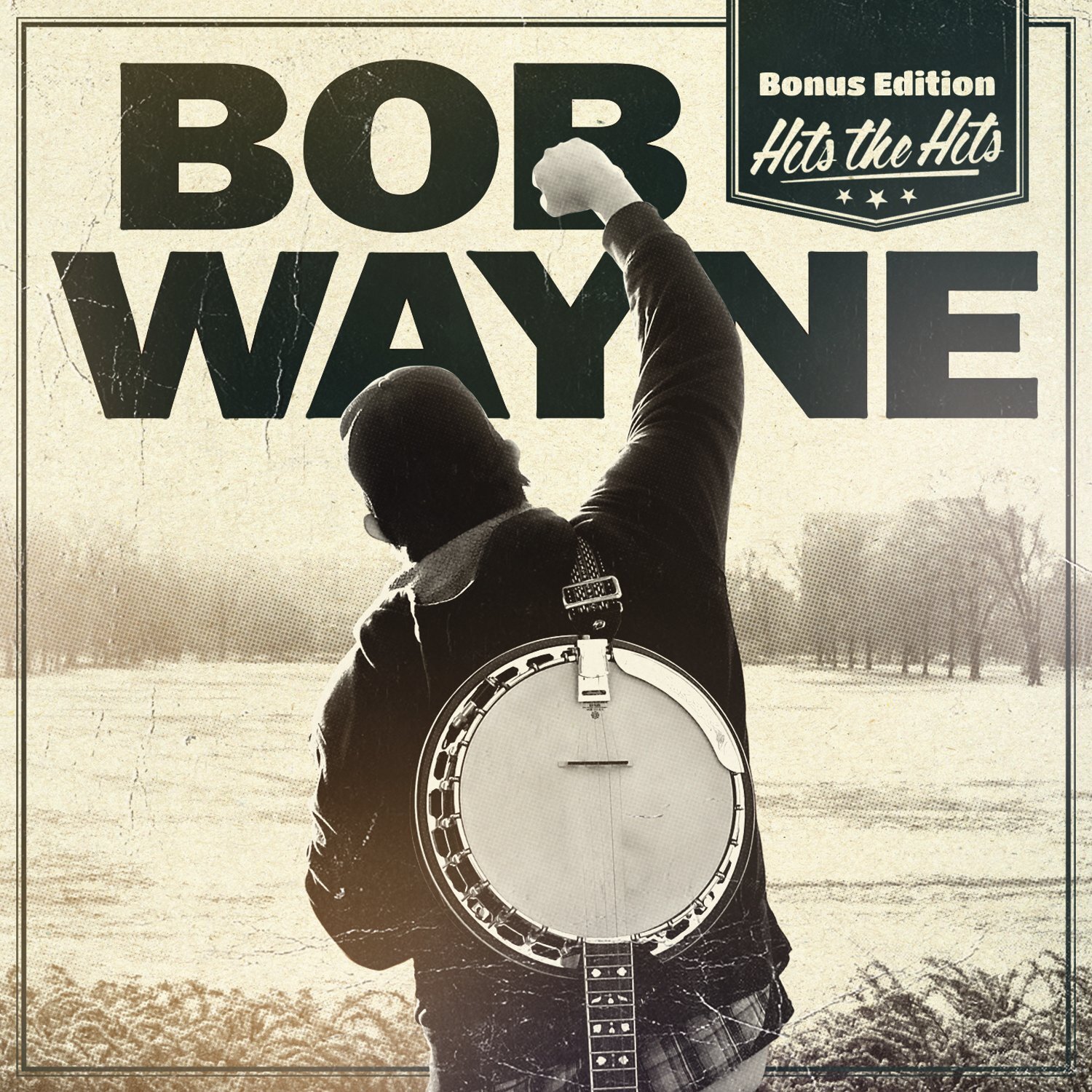 Bob Wayne Hits the Hits (Bonus Edition) (CD)