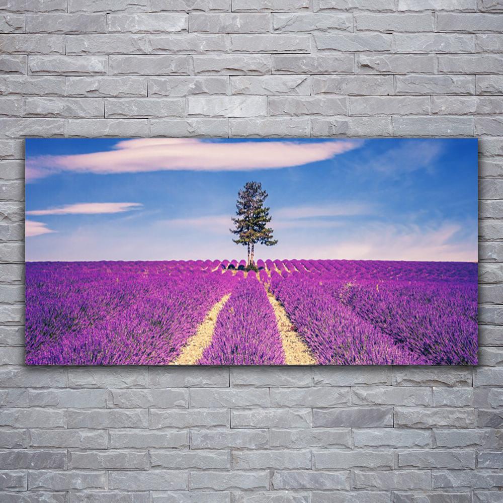 Tableau en verre acrylique de qualité premium paysage nature 120x60 cm