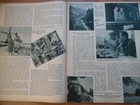 Bild 6 von 12