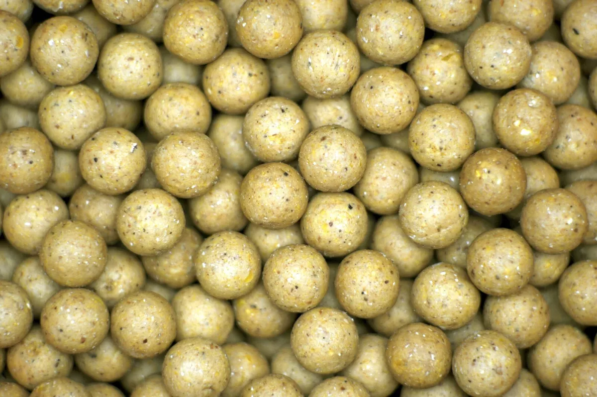 2kg banoffee nut carp bait boilies 18mm sweet creamy taste smell high  attract