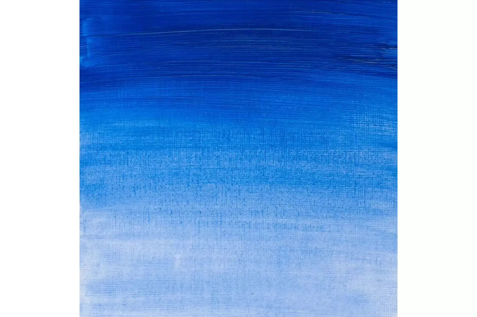 Foto 17 di 41
