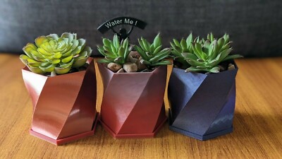 Geometrische Vase. Sukkulenten Pflanzgefäß. Spiralvase. Vase 3d gedruckt