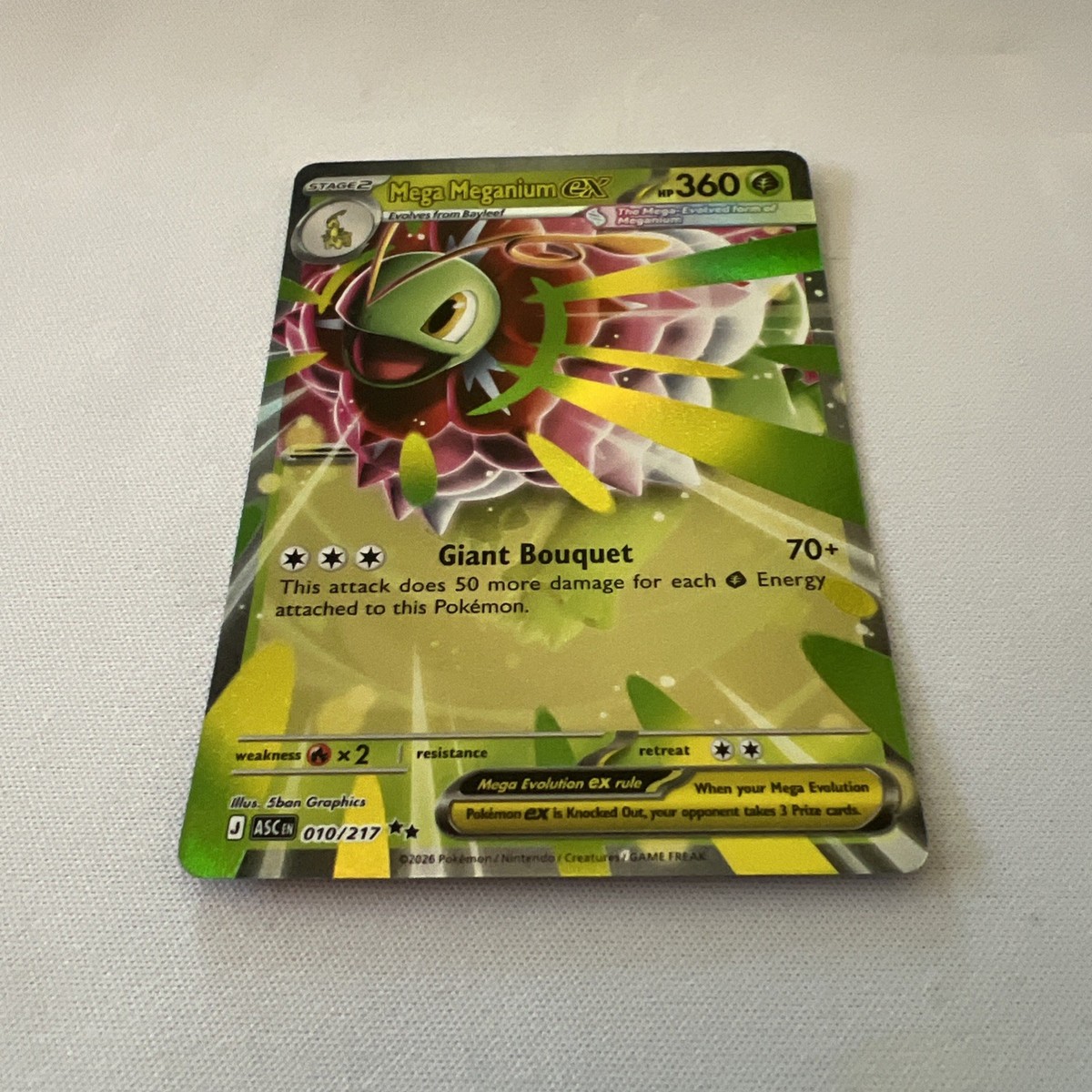 メガメガニウムex 台湾版 Mega Meganium ex Pokémon Mega Meganium EX