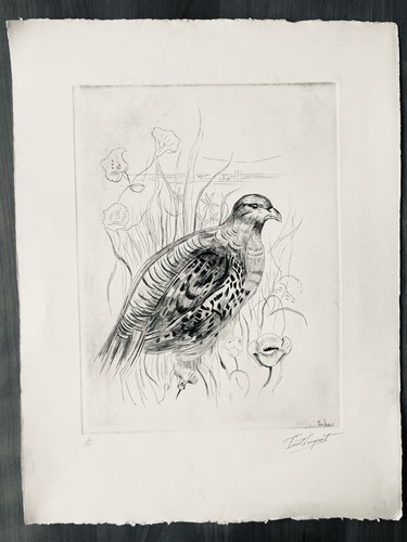 Paul Leuquet – Gravure au