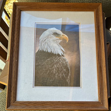 Alan M. Hunt "Royal American Bald Eagle" Matted & Framed Realism Paper Print