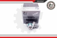Esen Skv Agr-Ventil Elektrisch FüR Nissan Note Kubistar Kasten Qashqai +2 I