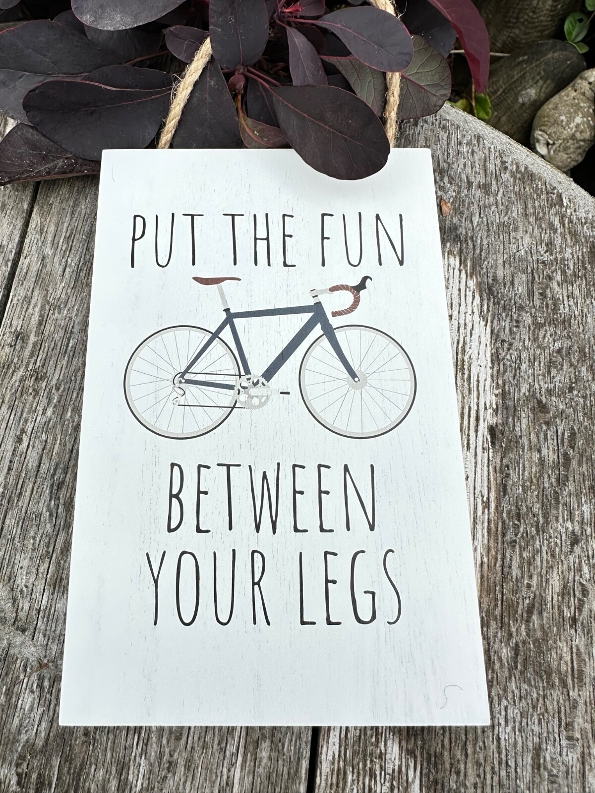 Funny cycling sign Put The Fun Between Your Legs plaque, bike biking bicycle