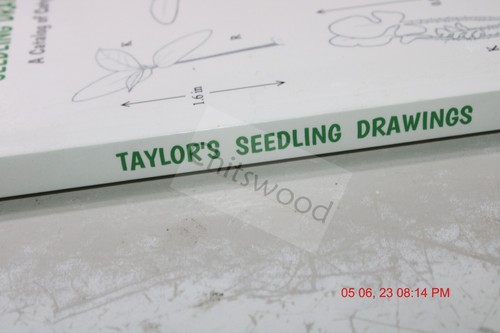 Taylor's Seedling Drawings : A Catalog of Cotyledons, Paperback by Taylor, Th... - Imagen 2 de 4