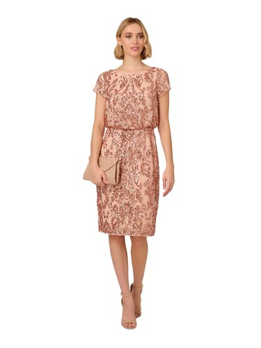 PAPELL STUDIO Womens Pink Mesh Lined Short Sleeve Knee Length Blouson Dress 8