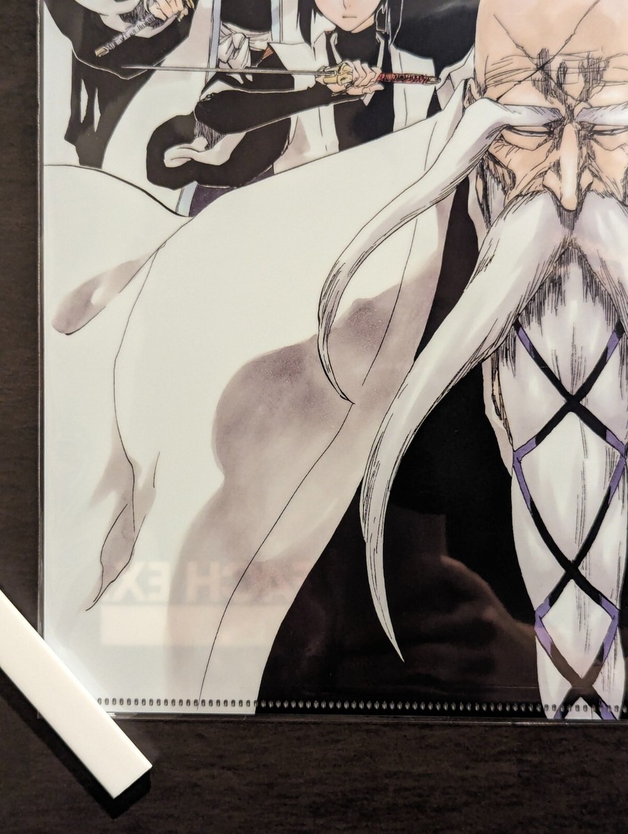 NEW Original Clear File A3 The Gotei 13 BLEACH Exhibition