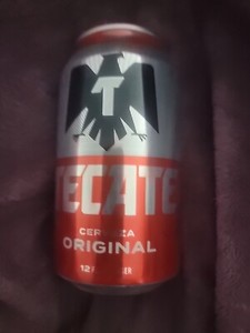 Tecate Safe Can