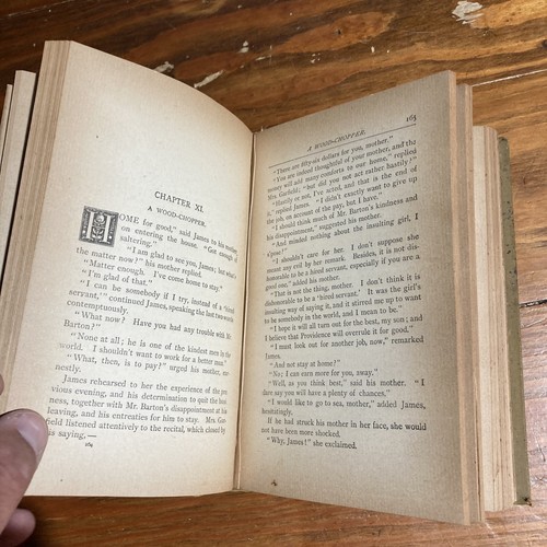 FROM LOG-CABIN TO THE WHITE HOUSE Book 1885 PRESIDENT JAMES GARFIELD By Thayer - Imagen 13 de 18