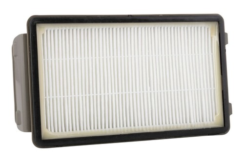 Rowenta filtro HEPA aspirapolvere Powerline Extreme RH8021 RH8037 RH8055  RH8121 | eBay