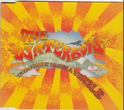 CD SINGLE The Waterboys Everybody Takes A Tumble W14 Music