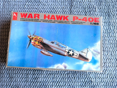 RARE-War Hawk P-40E Hobbycraft HC1402 1/48 Scale . KIT  5202 