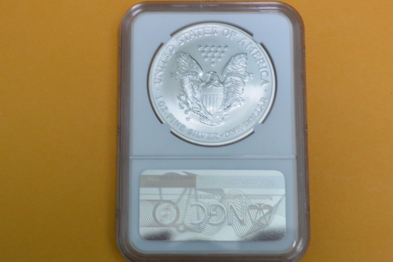 2007 W BURNISHED SILVER EAGLE NGC MS70 ANNUAL DOLLAR  UNC SET LABEL
