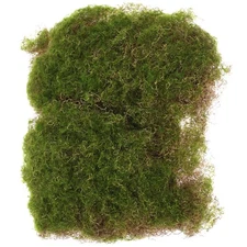 Floristry Moss Micro Landscape Turf Mini Garden Fake Terrace Decoration