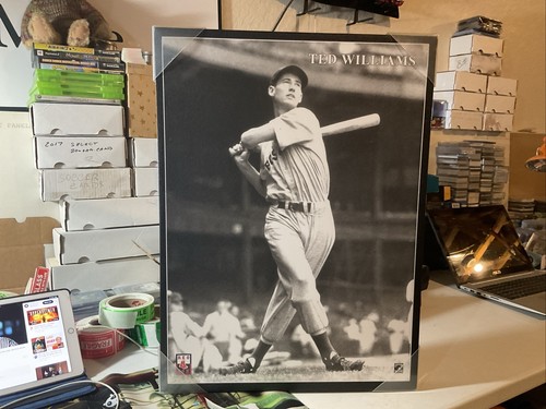 17/5 x. 23/5 Ted Williams Leinwand Wandbild - Watching The Hit From Home Plate