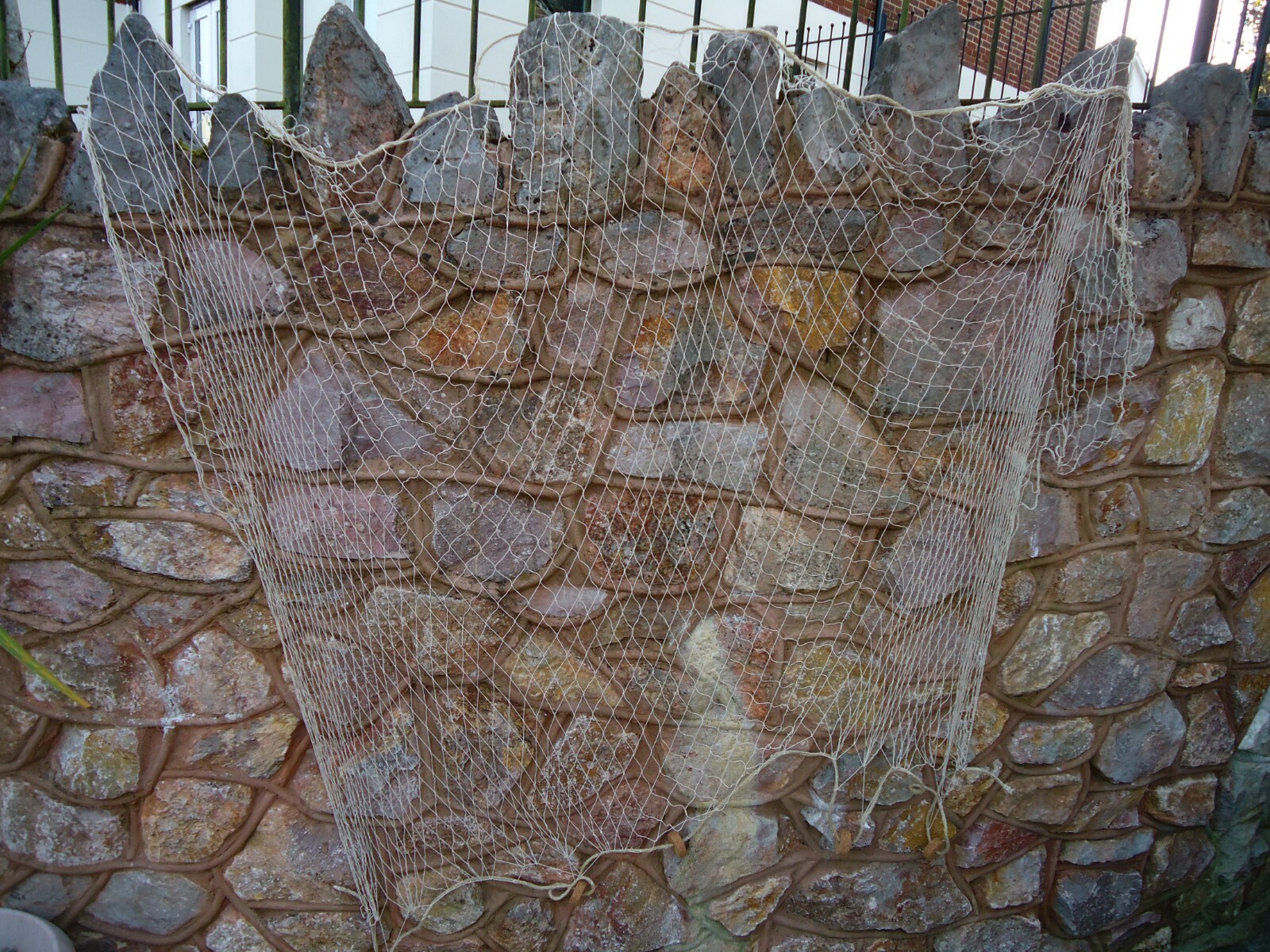 Picture 6 of 10