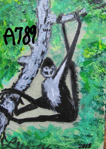 A789   ORIGINAL ACRYLIC ACEO PAINTING BY LJH       "SPIDER MONKEY''