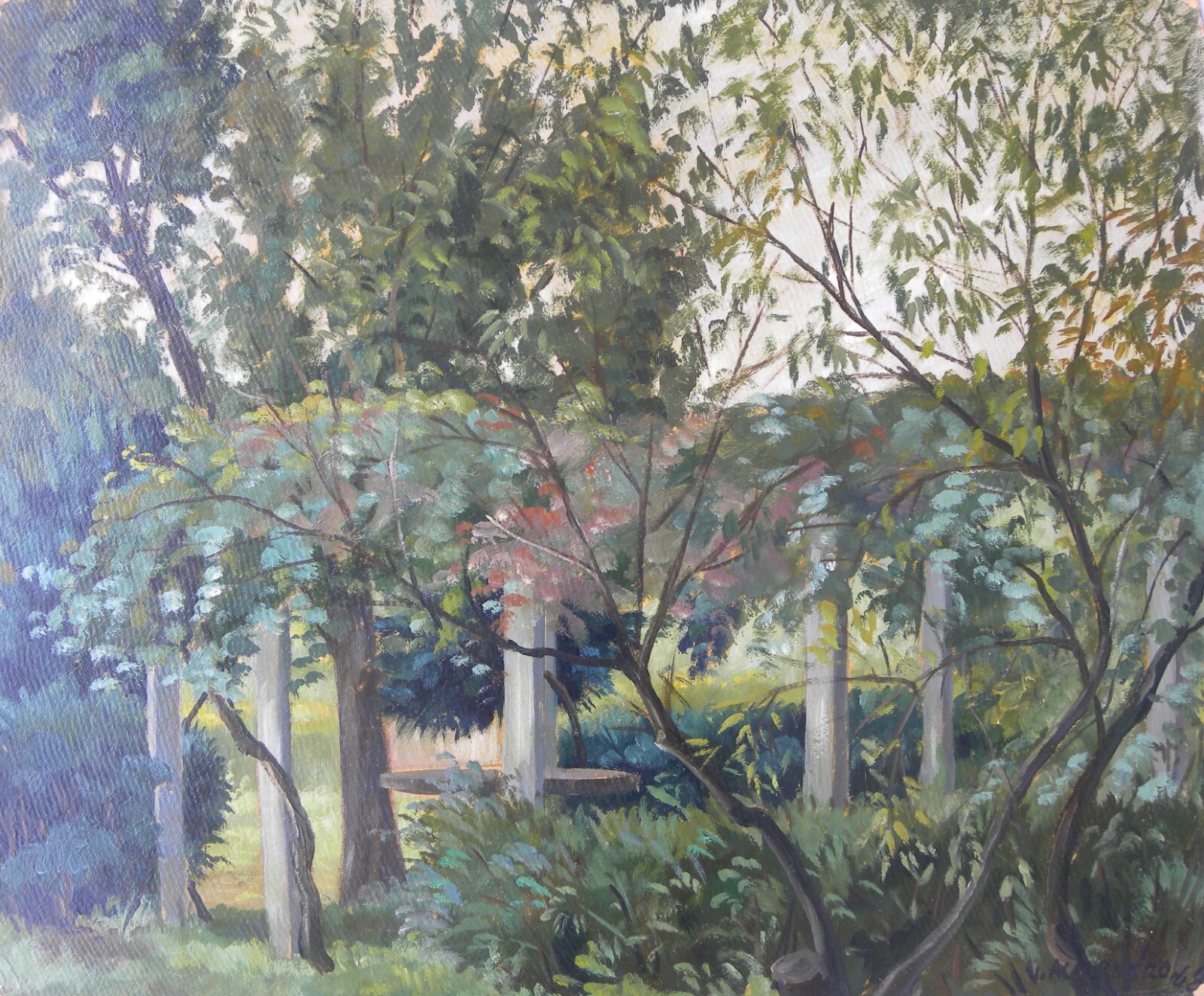 Foto 16 di 17