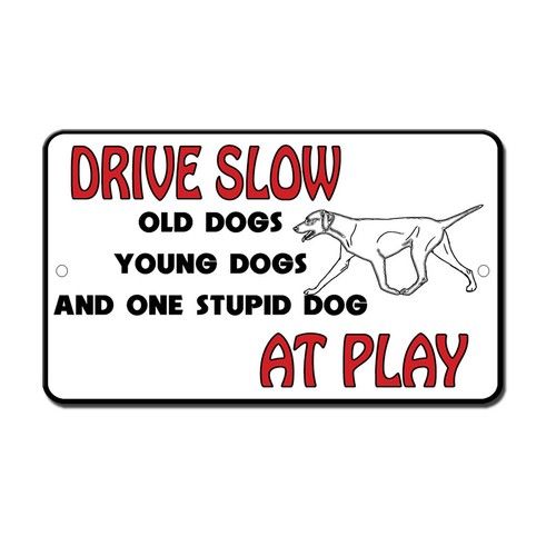 Drive Slow Young Old Stupid Dog At Play Novelty Funny Metal Sign 8 in x 12 in - 第 1/1 張圖片