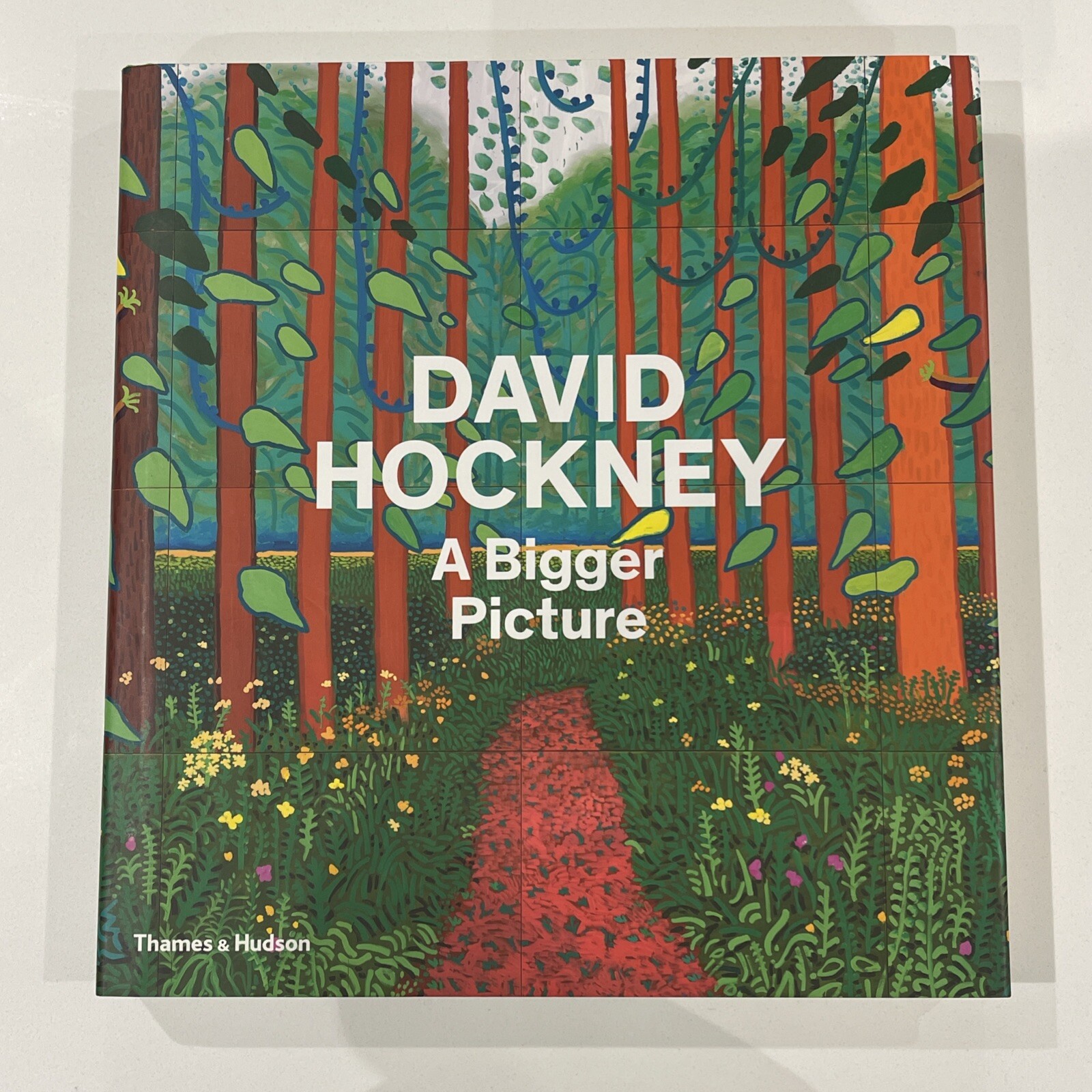 David Hockney: A Bigger Picture by Edith Devaney, Martin Gayford, Margaret...