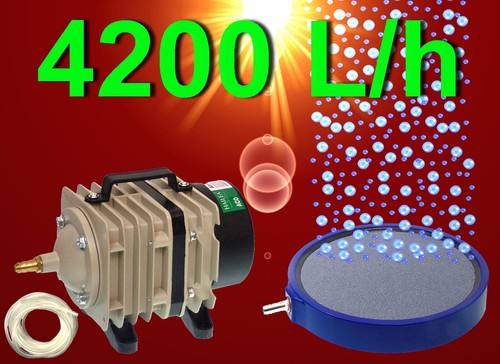 Teich Aquarium ️ 4200L/h KOMPRESSOR 20cm BELÜFTERPLATTE ️ Zubehör
