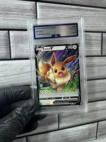 Pokémon TCG Eevee V SWSH065 SWSH: Sword & Shield Promo Holo Flawless Grading EN
