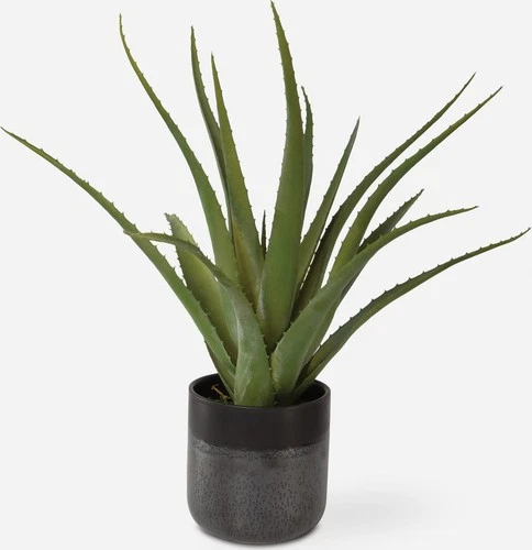 Uttermost 60204 Tucson 19" Tall Ceramic Faux Flora Planter - Matte Glass - Picture 3 of 3