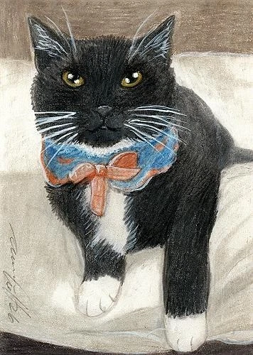 ACEO orig. pastel drawing tuxedo cat, black cat, chat noir  by Anna Hoff