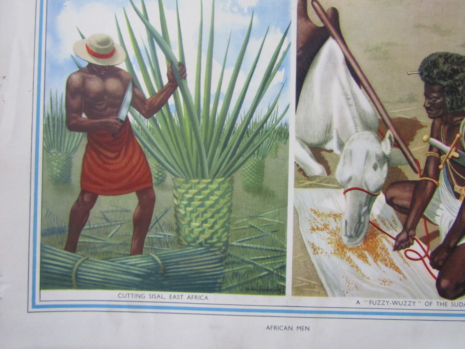 Picture 4