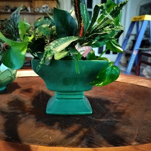 Vintage McCoy Wald grün Fuß Pflanzgefäß #325 mit Rosen 49 Cent Aufkleber unten