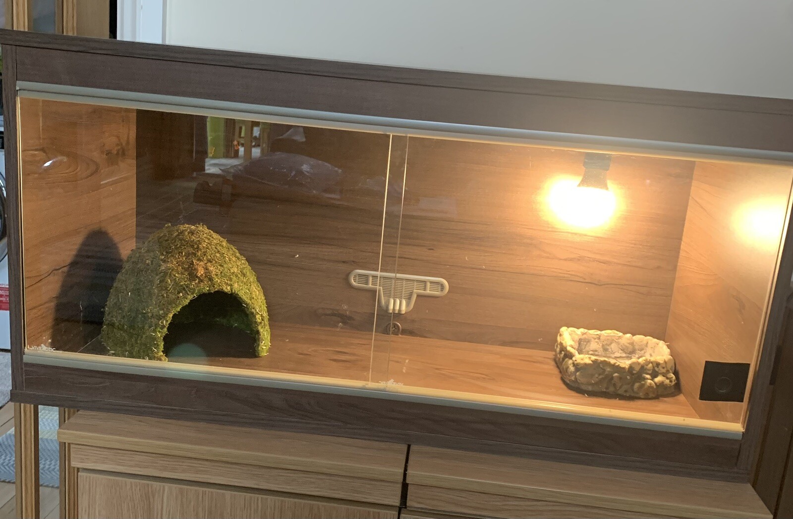 Wooden Reptile Vivarium Snake Lizard Housing Habitat Amphibians Home eBay