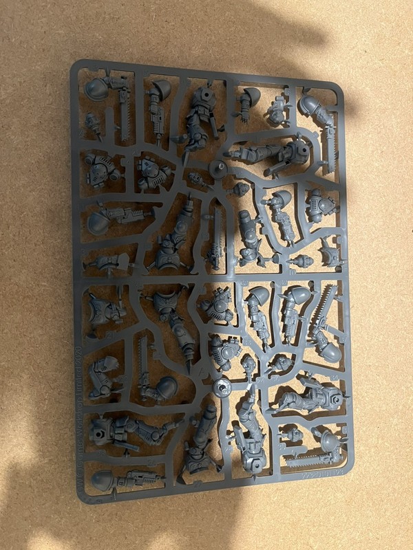 Warhammer 40k Space Marine Primaris Assault Intercessors x 5 on Sprue